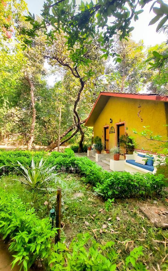 Bandhavgarh Jungle Lodge Tāla المظهر الخارجي الصورة