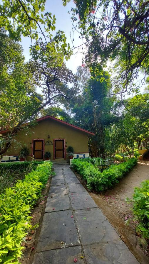 Bandhavgarh Jungle Lodge Tāla المظهر الخارجي الصورة