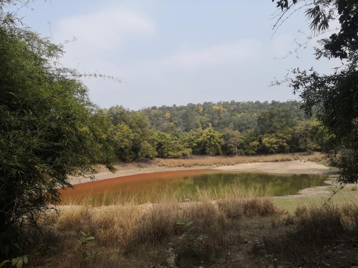 Bandhavgarh Jungle Lodge Tāla المظهر الخارجي الصورة