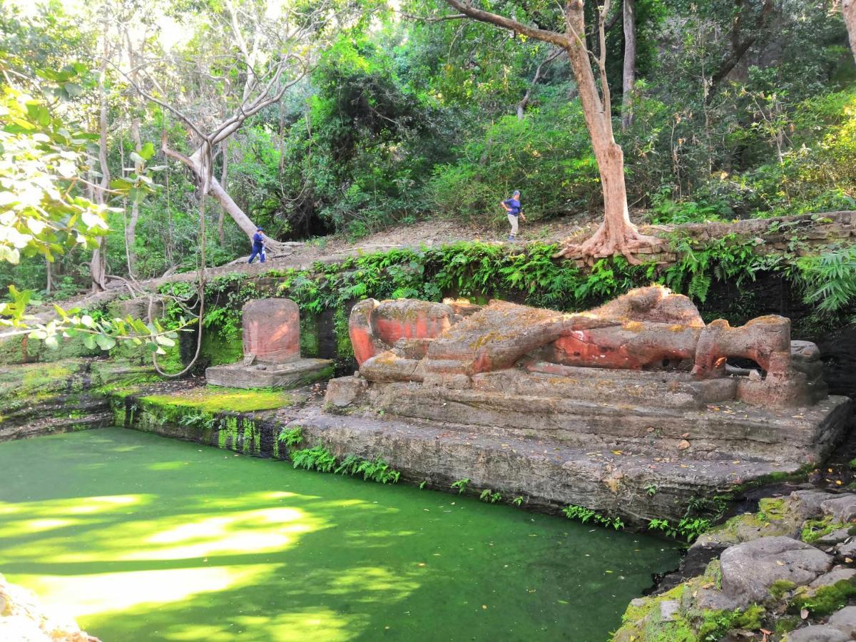 Bandhavgarh Jungle Lodge Tāla المظهر الخارجي الصورة